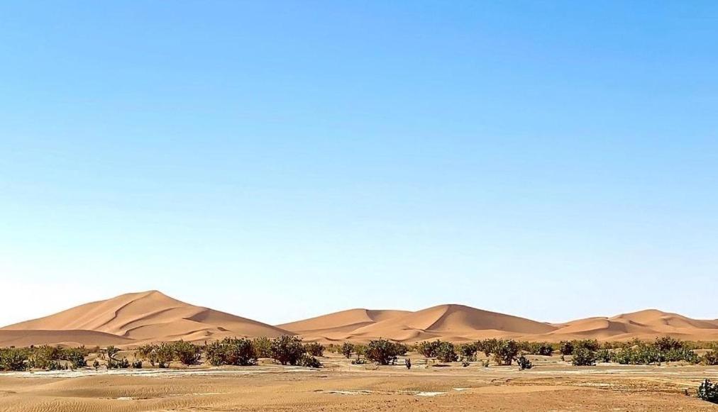 Chegaga Desert Trips Camp M'Hamid El Ghizlane Exterior foto