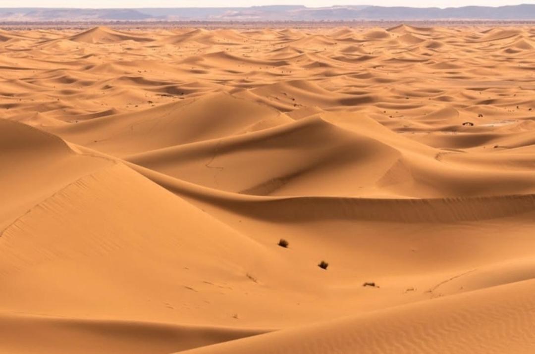 Chegaga Desert Trips Camp M'Hamid El Ghizlane Exterior foto